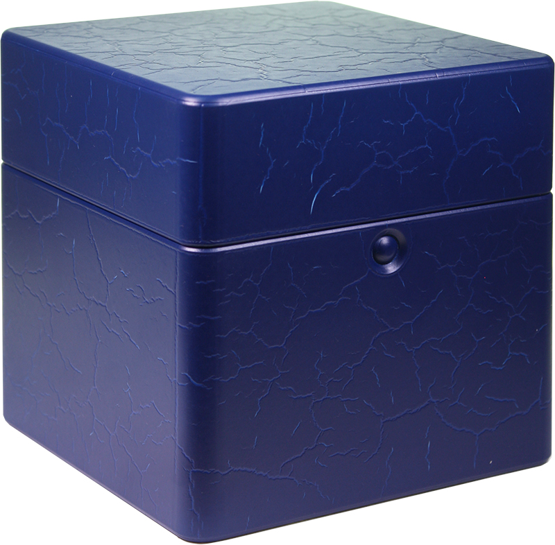 Футляр пластиковый под фигуру Путин В.В. 2  13.3.22