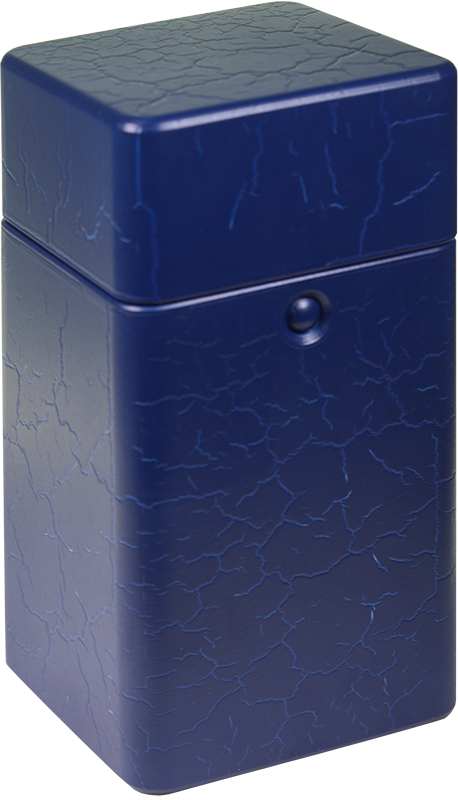 Футляр пластиковый под фигуру Путин В.В. 1 13.3.21